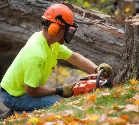 tree services Biloxi